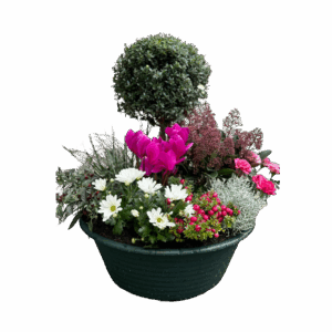 Composition funéraire Gandy