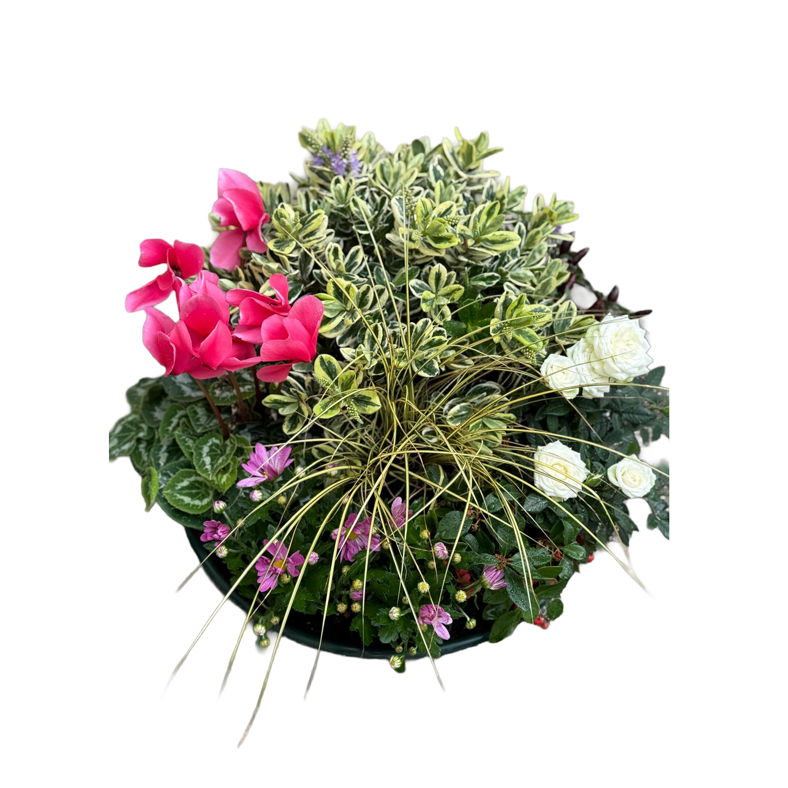 Composition funéraire Gandy – Image 2